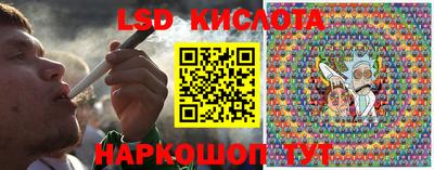 spice Камышлов
