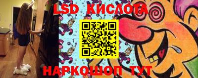 spice Камышлов