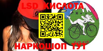 spice Камышлов