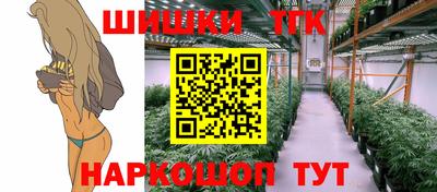 spice Камышлов
