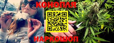 spice Камышлов