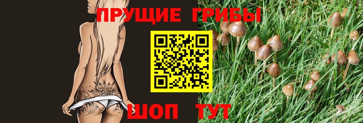Галлюциногенные грибы ЛСД  Псилоцибиновые грибы Cubensis  Вход с VPN  Сланцы 